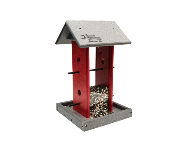 Song Bird Feeder