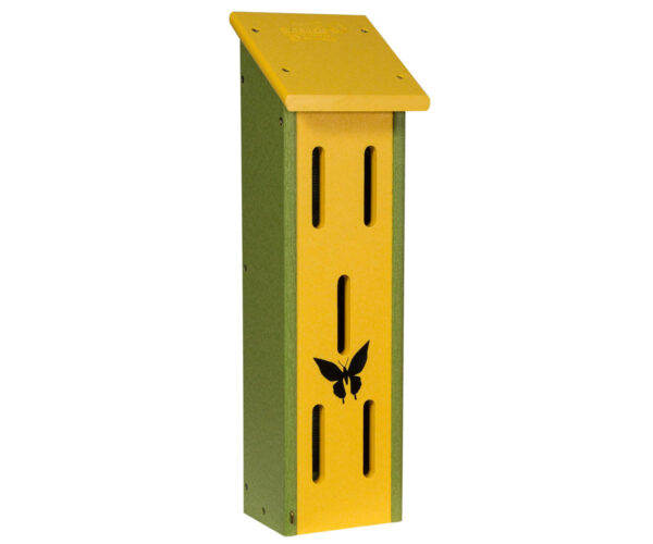 Large Butterfly House