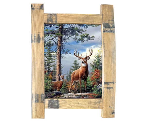 3D Stave Photo - Deer