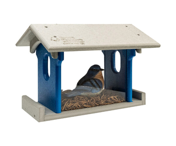 Blue Bird Feeder