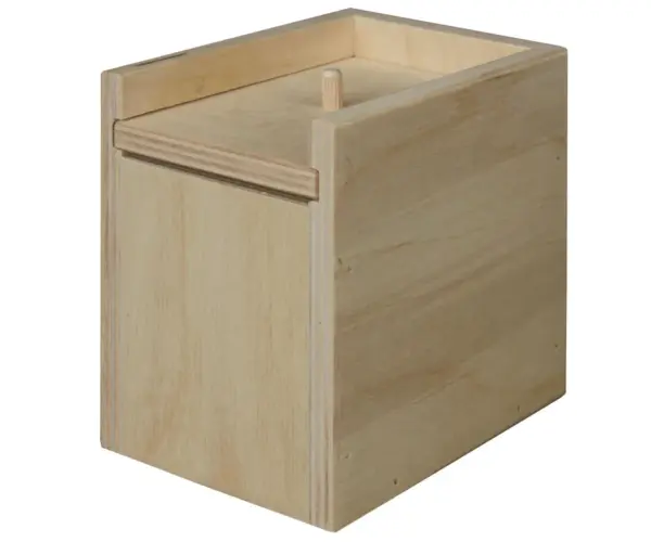 Surprise Box