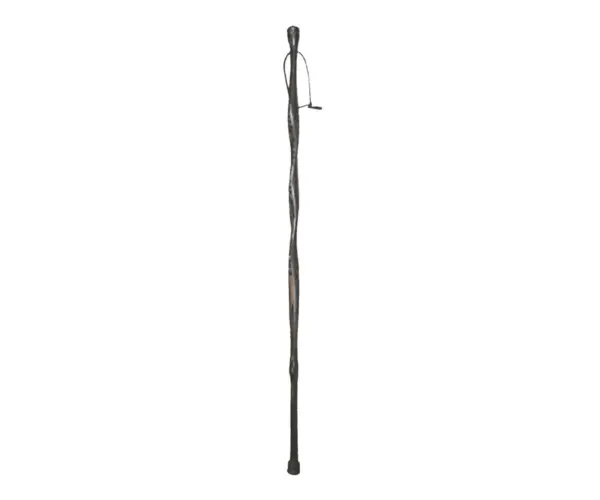 Hiking Stick