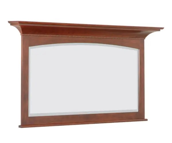 NBS Mirror